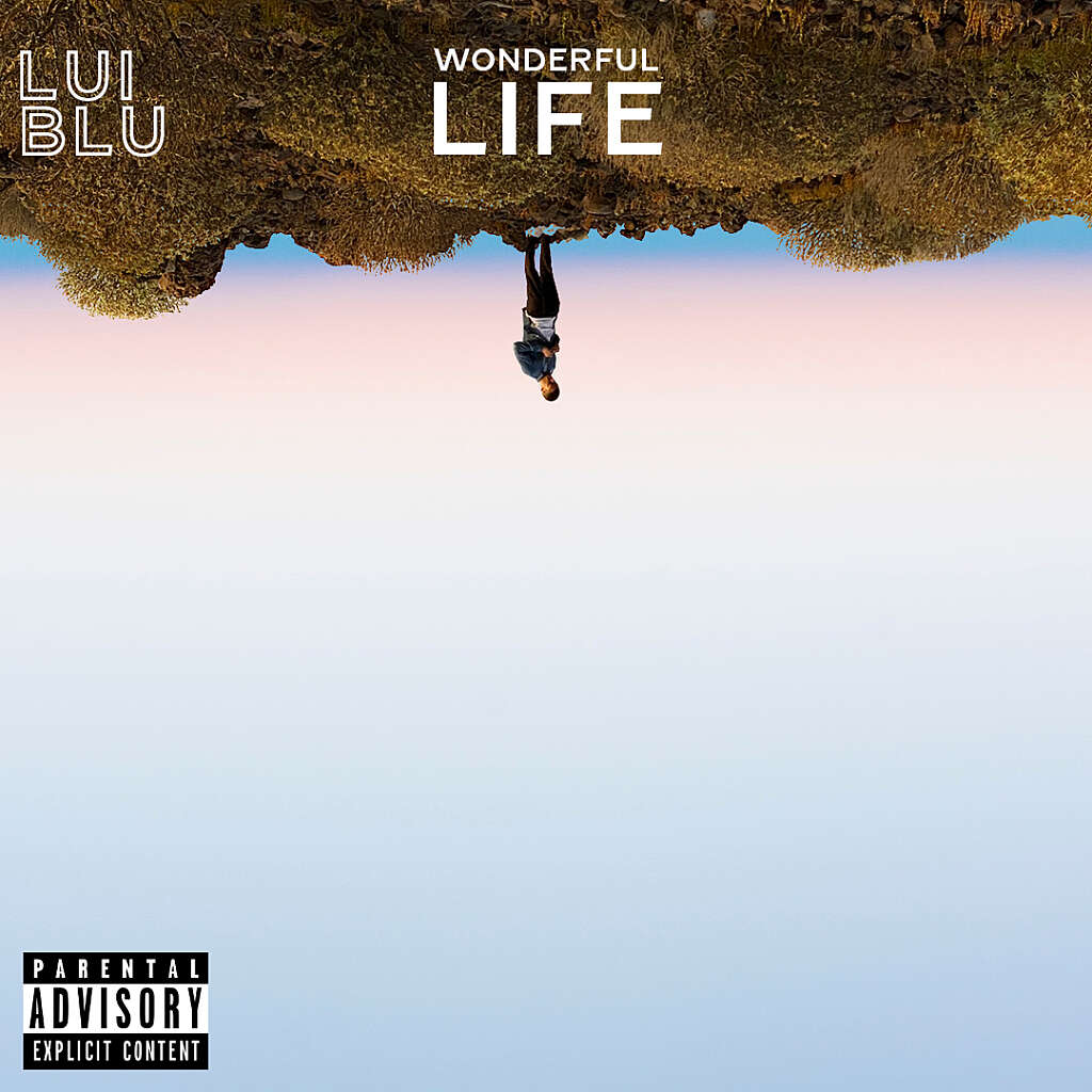 LUI BLU Wonderful Life Cover LUI BLU Wonderful Life Cover